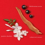 Cedarwood essence with black currant seeds and white flowers on a red background