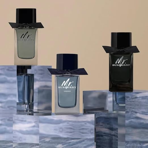 Burberry Mr Burberry EDP 100ml