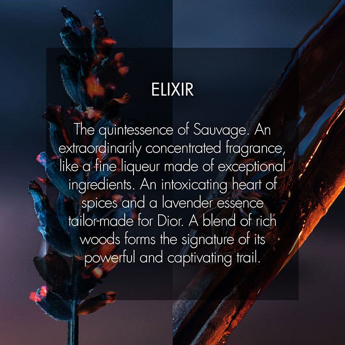 Dior Sauvage 100ml Elixir Fragrance
