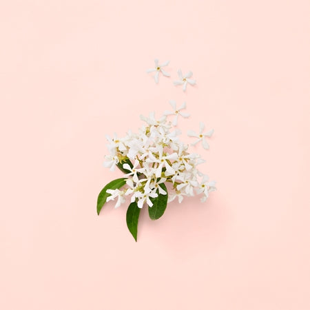 Gucci Bloom Eau De Parfum 30ml