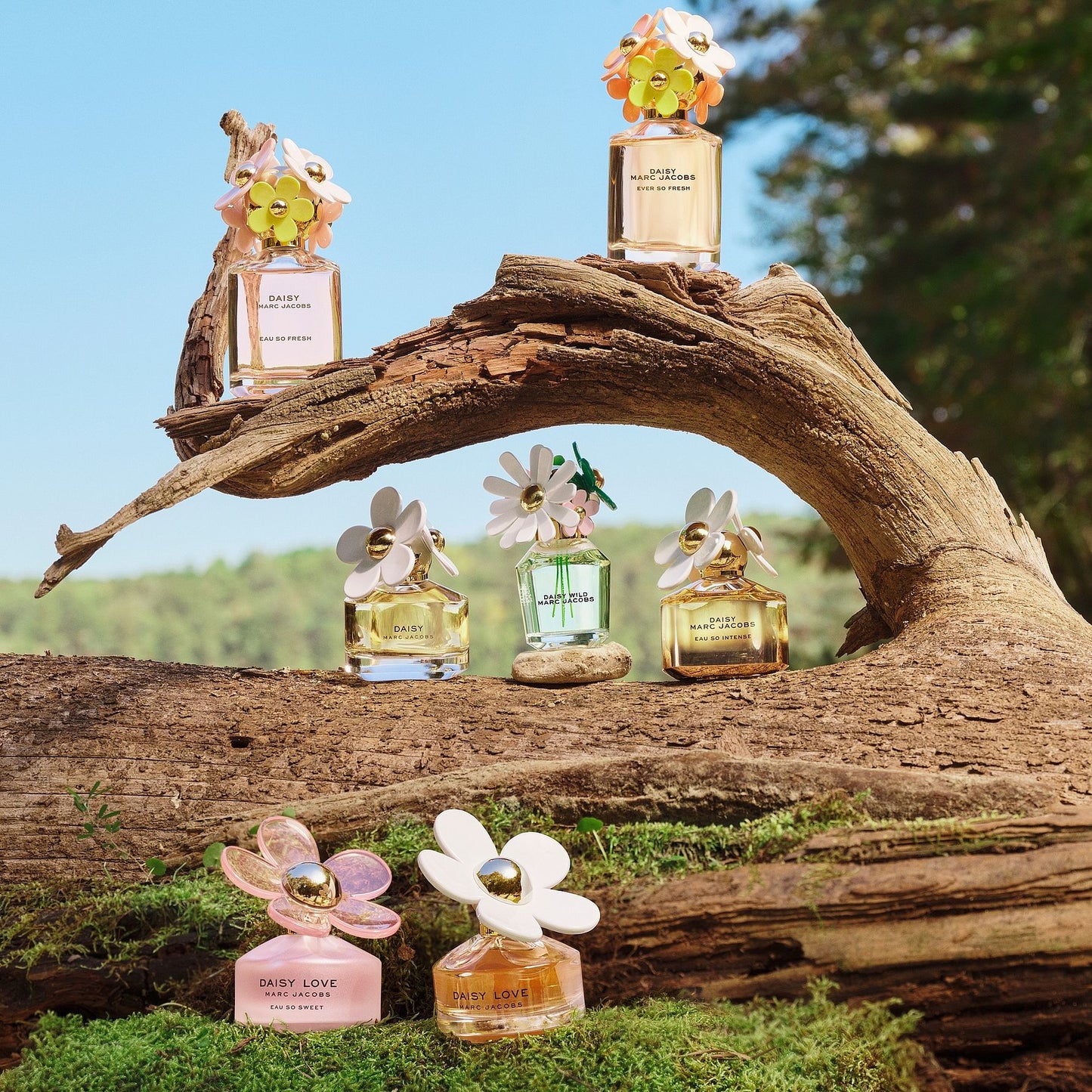 Marc Jacobs Daisy Eau So Fresh Eau De Toilette 30ml