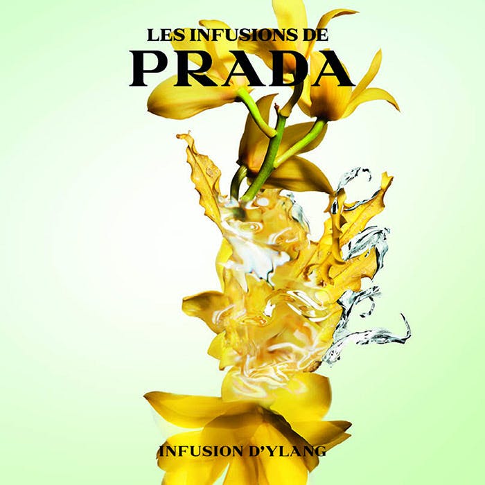 Prada Infusion D'Ylang Eau De Parfum 100ml