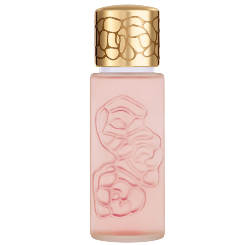 Houbigant Women's Fragrances