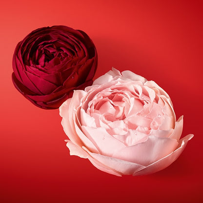 Red and pink roses on a red background