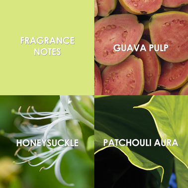 Britney Spears Believe EDP 100ml