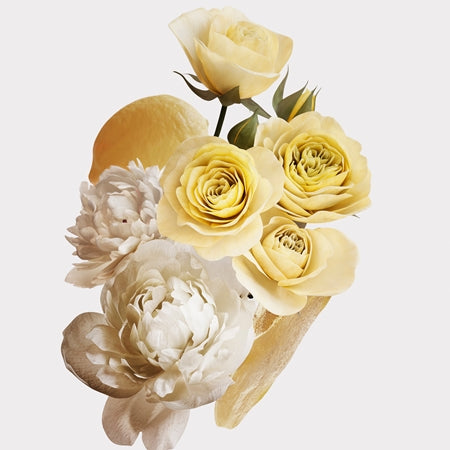 Burberry Her London Dream EDP 30ml