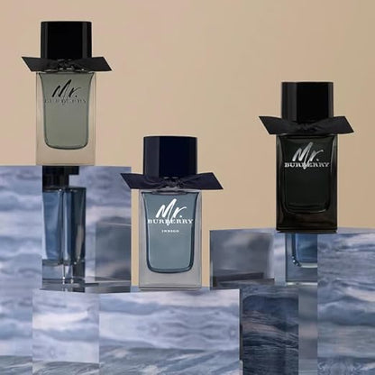 Burberry Mr Burberry EDP 100ml