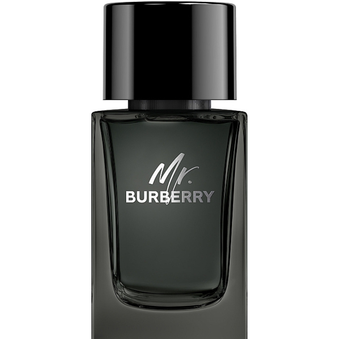 Burberry Mr Burberry EDP 100ml