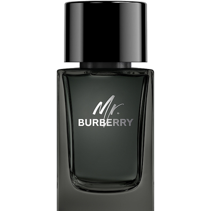 Burberry Mr Burberry EDP 100ml