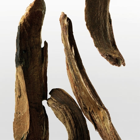 Calvin Klein CK ONE Essence EDP 200ml