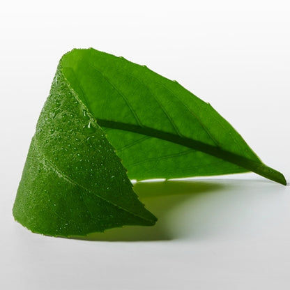 Calvin Klein CK ONE Essence EDP 50ml