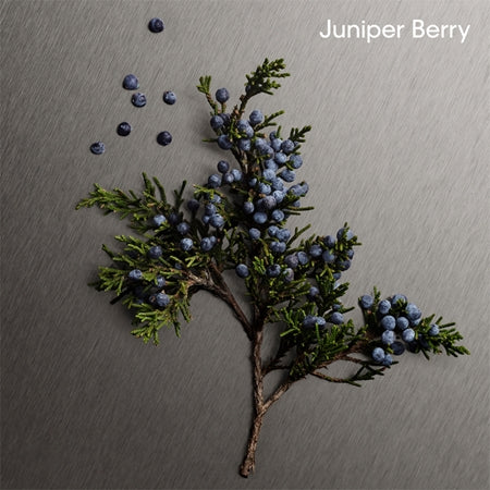 Calvin Klein Eterninty Men Aromatic Essence Parfum Intense 50ml