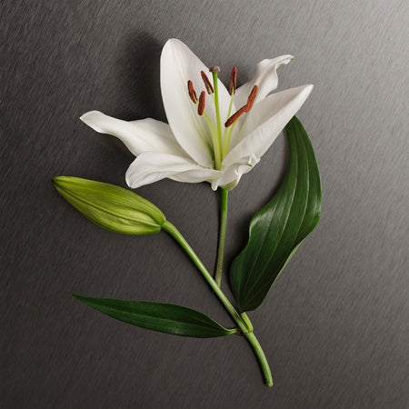 Calvin Klein Eternity EDP 100ml