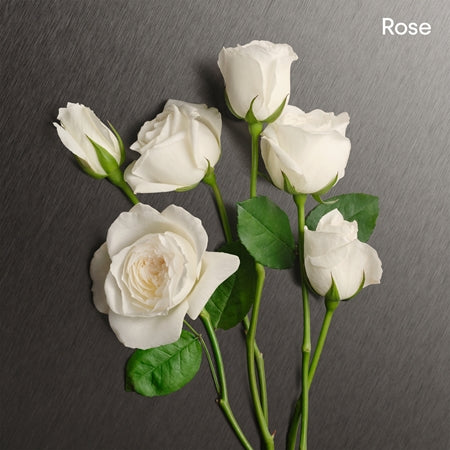 Calvin Klein Eternity EDP 100ml