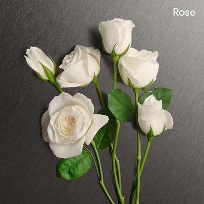 Calvin Klein Eternity EDP 50ml