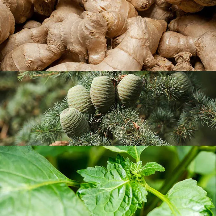 Calvin Klein Euphoria EDT 30ml