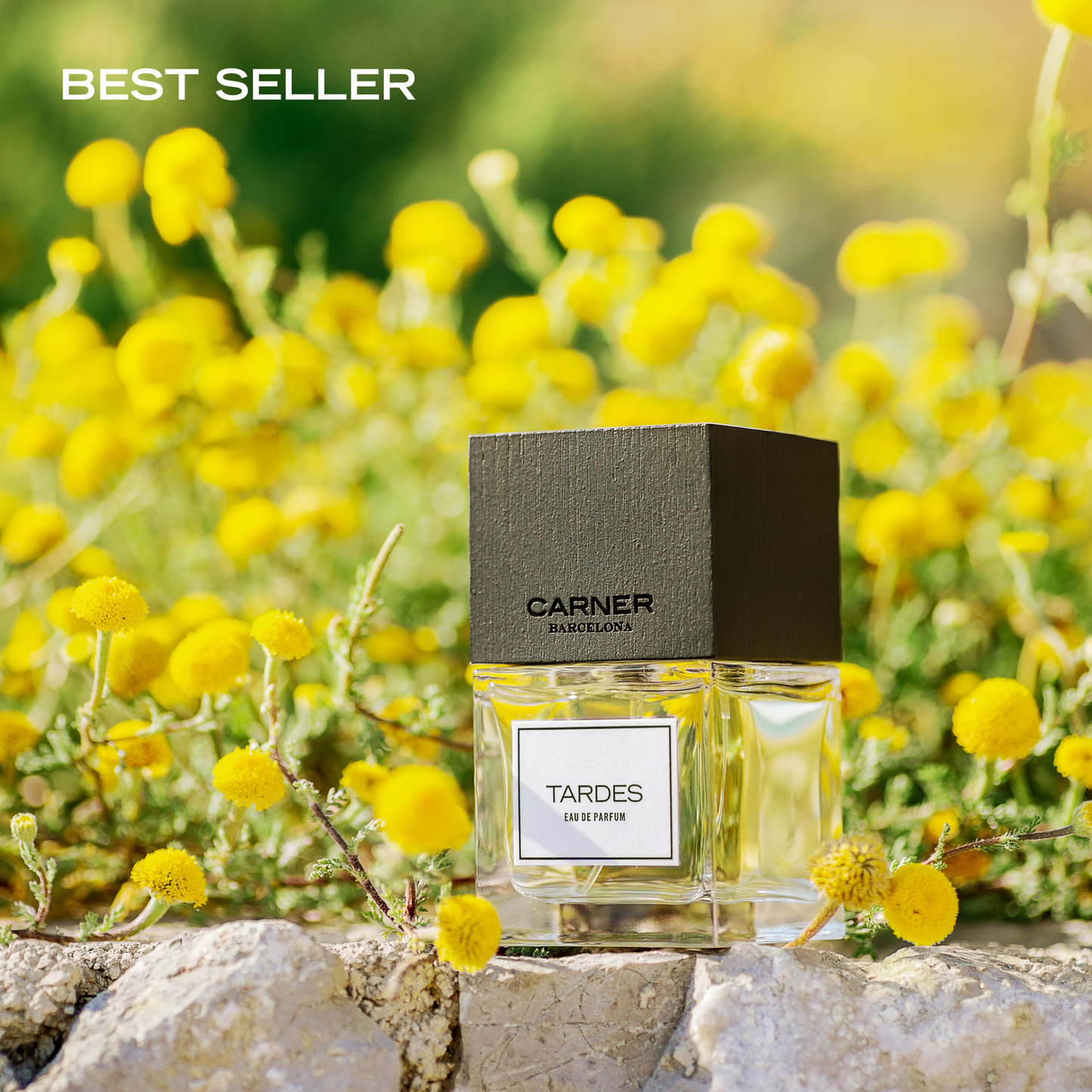 Carner Barcelona Tardes Eau De Parfum 100ml