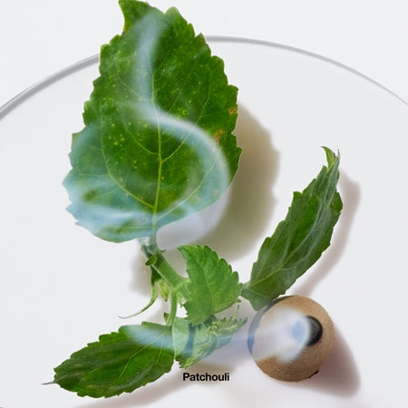 Clinique Aromatics Elixir EDP Spray 100ml