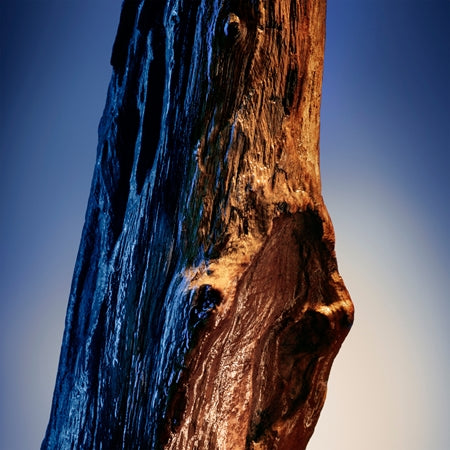 Davidoff Cool Water Elixir EDP 50ml