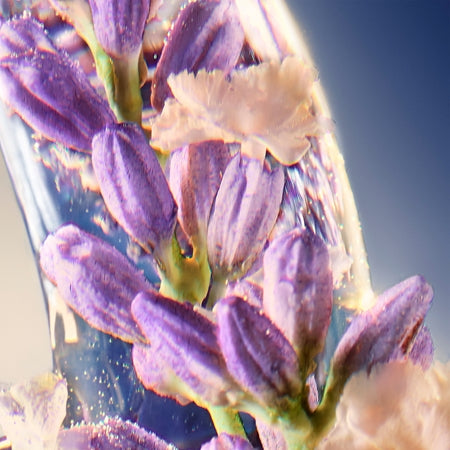 Davidoff Cool Water Elixir EDP 50ml