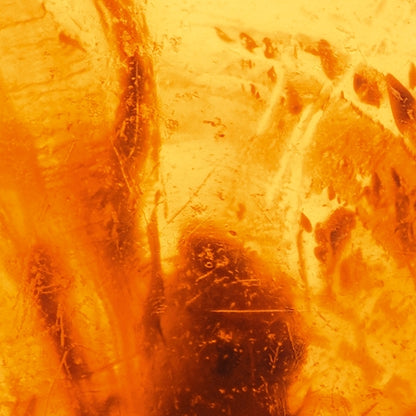 Davidoff Cool Water Intense Man EDP 40ml