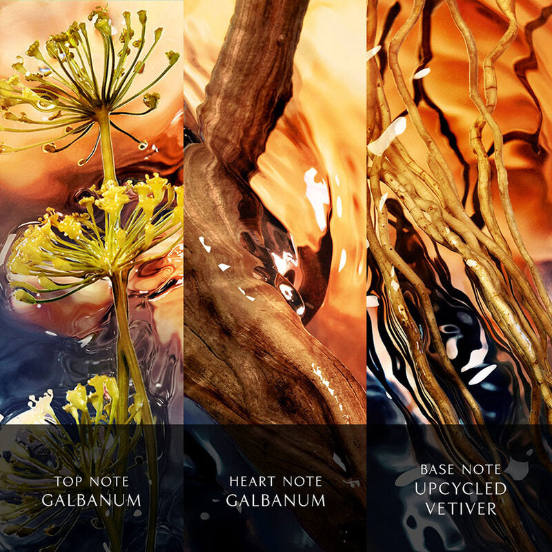 Davidoff Cool Water Reborn EDT 125ml