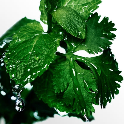 Davidoff Coolwater EDT 200ml