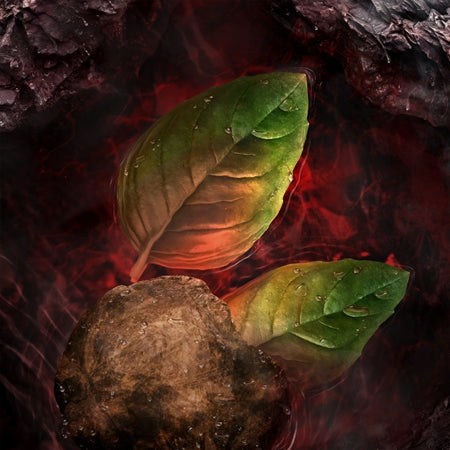 Davidoff Hot Water Aftershave For Men EDT 60ml