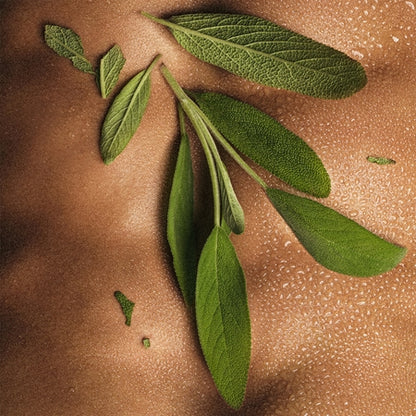 Diesel
ONLY THE BRAVE
Eau De Parfum 125ml