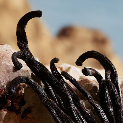 Dolce & Gabbana Q Parfum 100ml