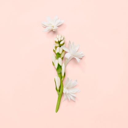 Gucci Bloom Eau De Parfum 30ml