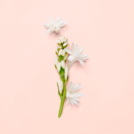 Gucci Bloom Eau de Parfum 100ml