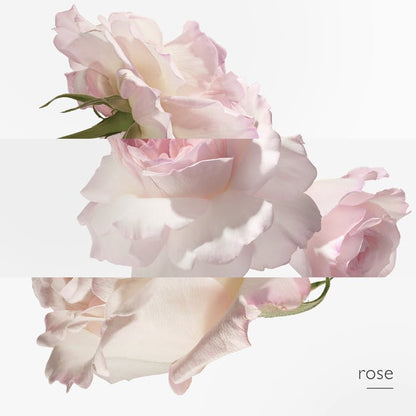 Hermes Les Colognes Eau De Pamplemousse Rose Eau De Cologne 100ml