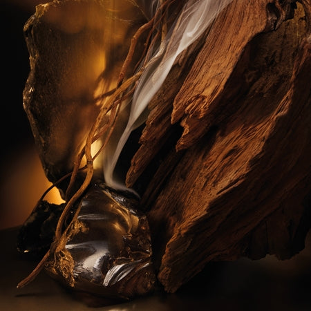 Hugo Boss Bottled Elixir Parfum Intense 50ml