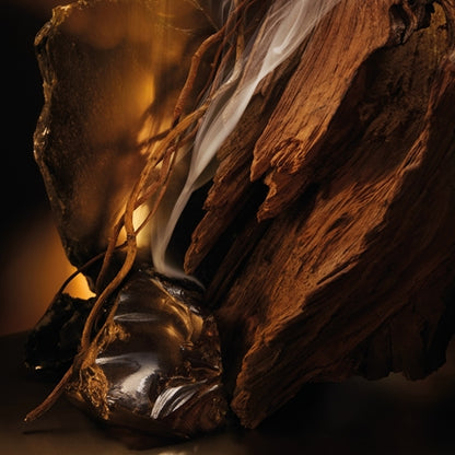 Hugo Boss Bottled Elixir Parfum Intense 50ml