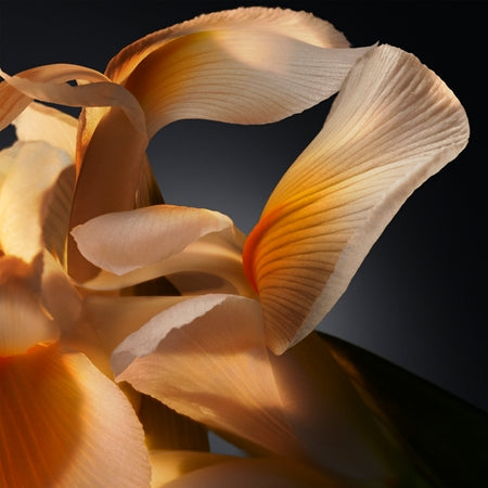 Hugo Boss Bottled parfum 50ml