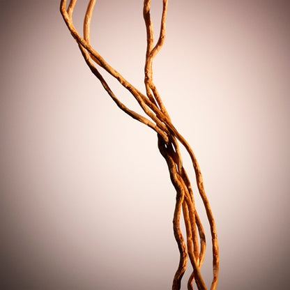 Hugo Boss The Scent Her Le Parfum 30ml