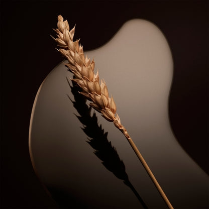 Hugo Boss The Scent Magnetic For Him EDP 50ml