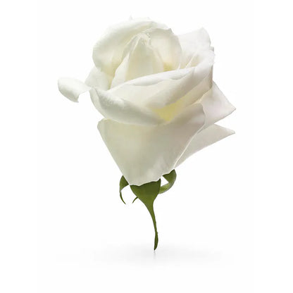 Issey Miyake L’Eau d’Issey Eau De Parfum 50ml