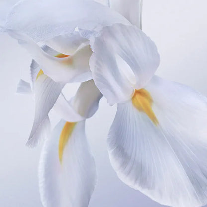 Lancome La Vie Est Belle Rose Extraordinaire Eau De Parfum 30ml