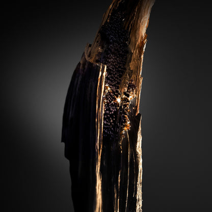 Rabanne Olympea Absolu Eau De Parfum 50ml