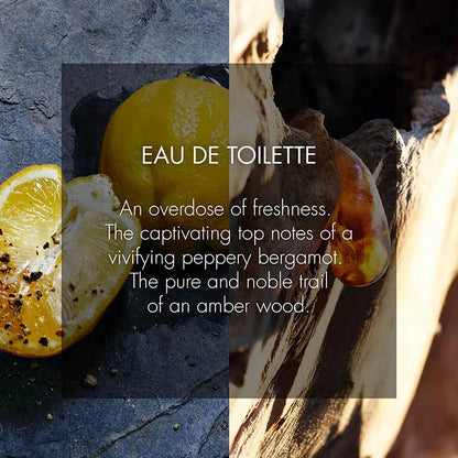 Sauvage Eau de Toilette by Dior 60mls