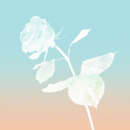 Tiffany Rose Gold Eau De Parfum 30ml