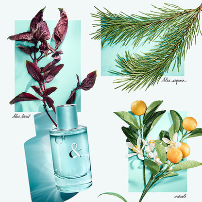 Tiffany & Co. Tiffany & Love Eau De Parfum for Her 50ml