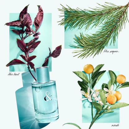 Tiffany & Co. Tiffany & Love Eau De Parfum for Her 50ml