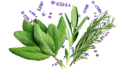 Valentino Born In Roma Donna Eau De Parfum 30ml