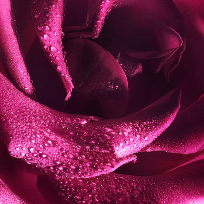 Viktor & Rolf FlowerBomb Extreme Eau De Parfum 30ml